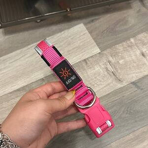 Light up dog collar